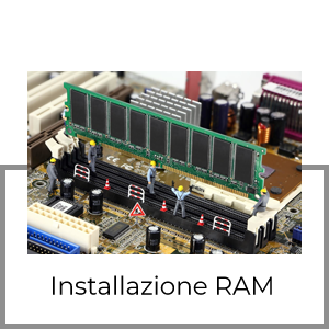 ram